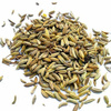 FINOCCHIETTO SEMI BIO KOPER WŁOSKI BIO 25G Filippone